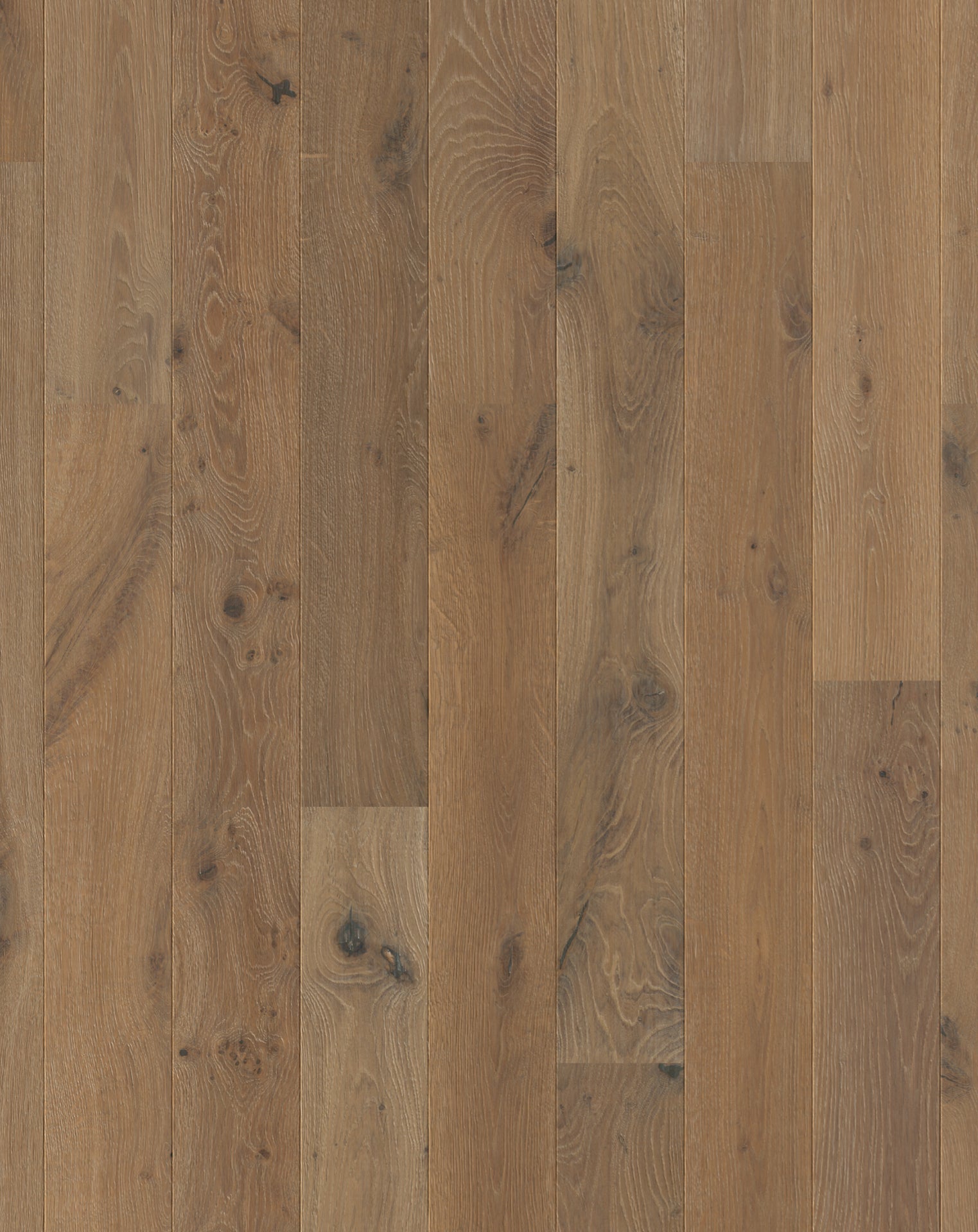 Explore Reside Xpert Pro Wellington | Flooring Xtra NZ