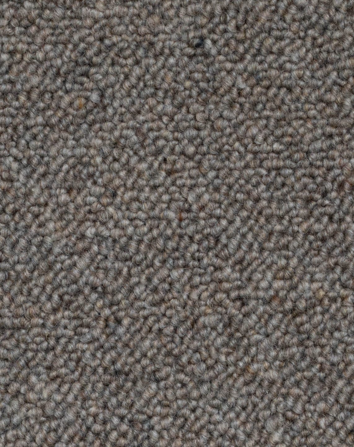 Kuri