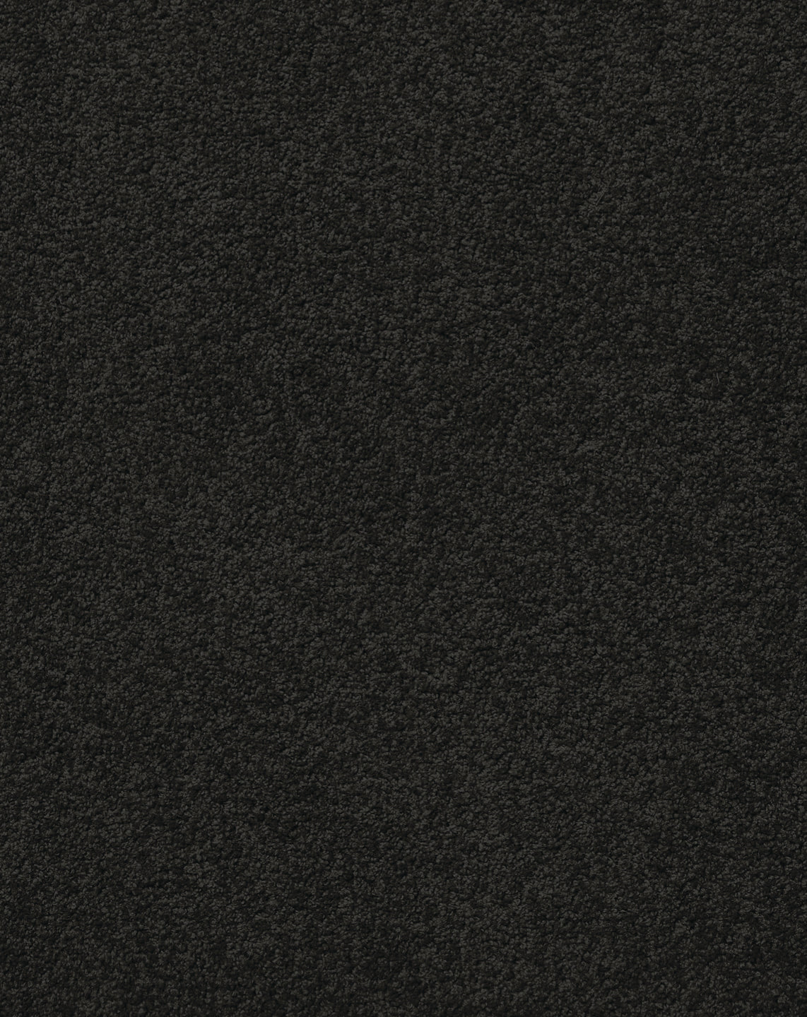 Coal