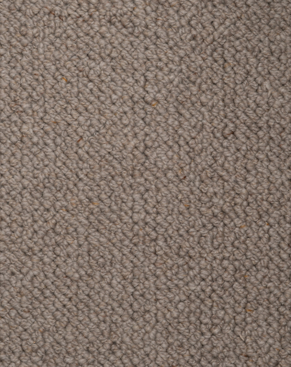 Toasted Grey