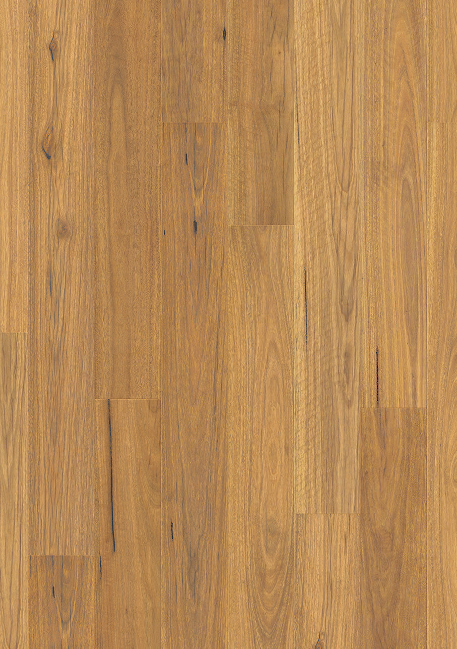 Natural Spotted Gum