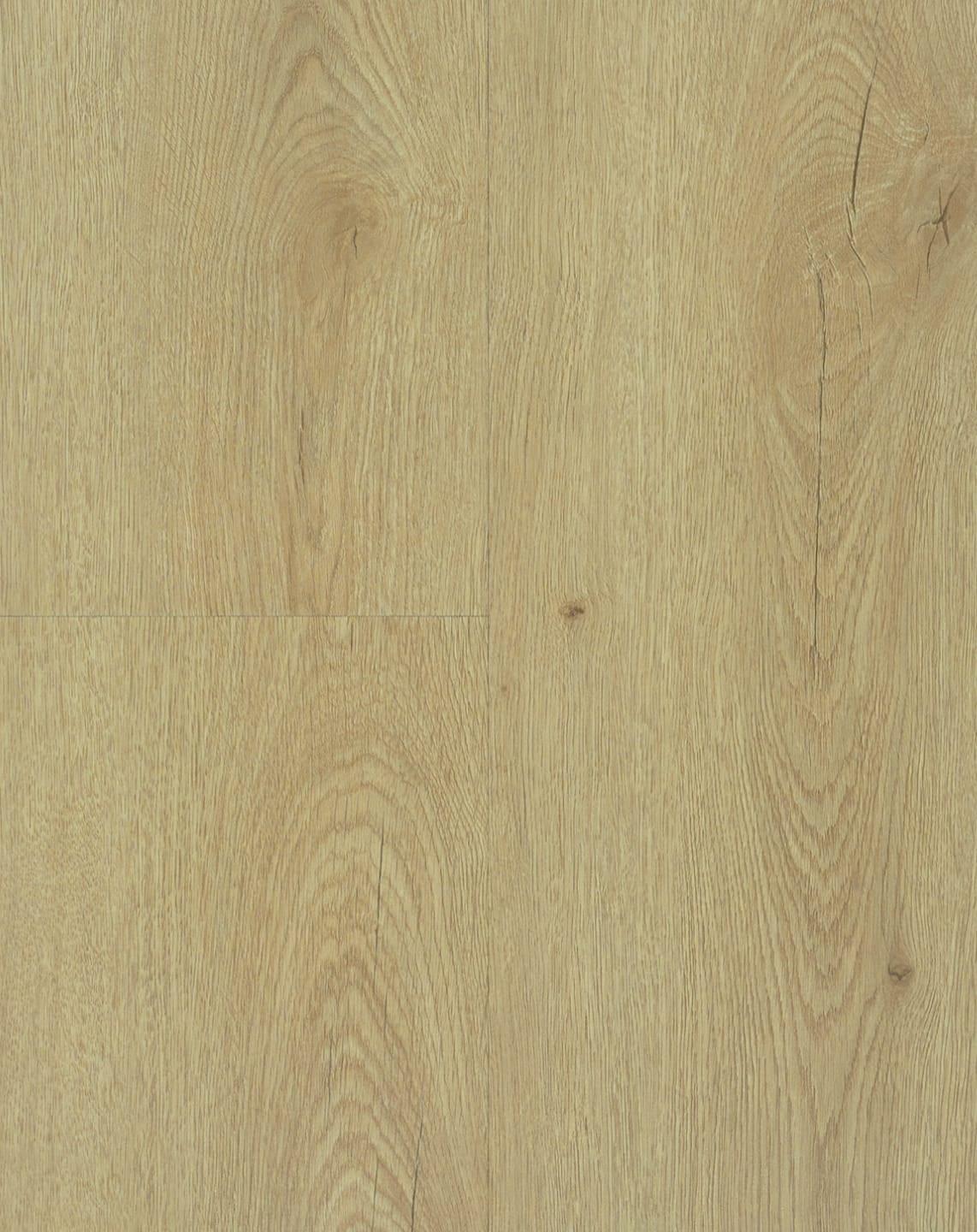 European Oak