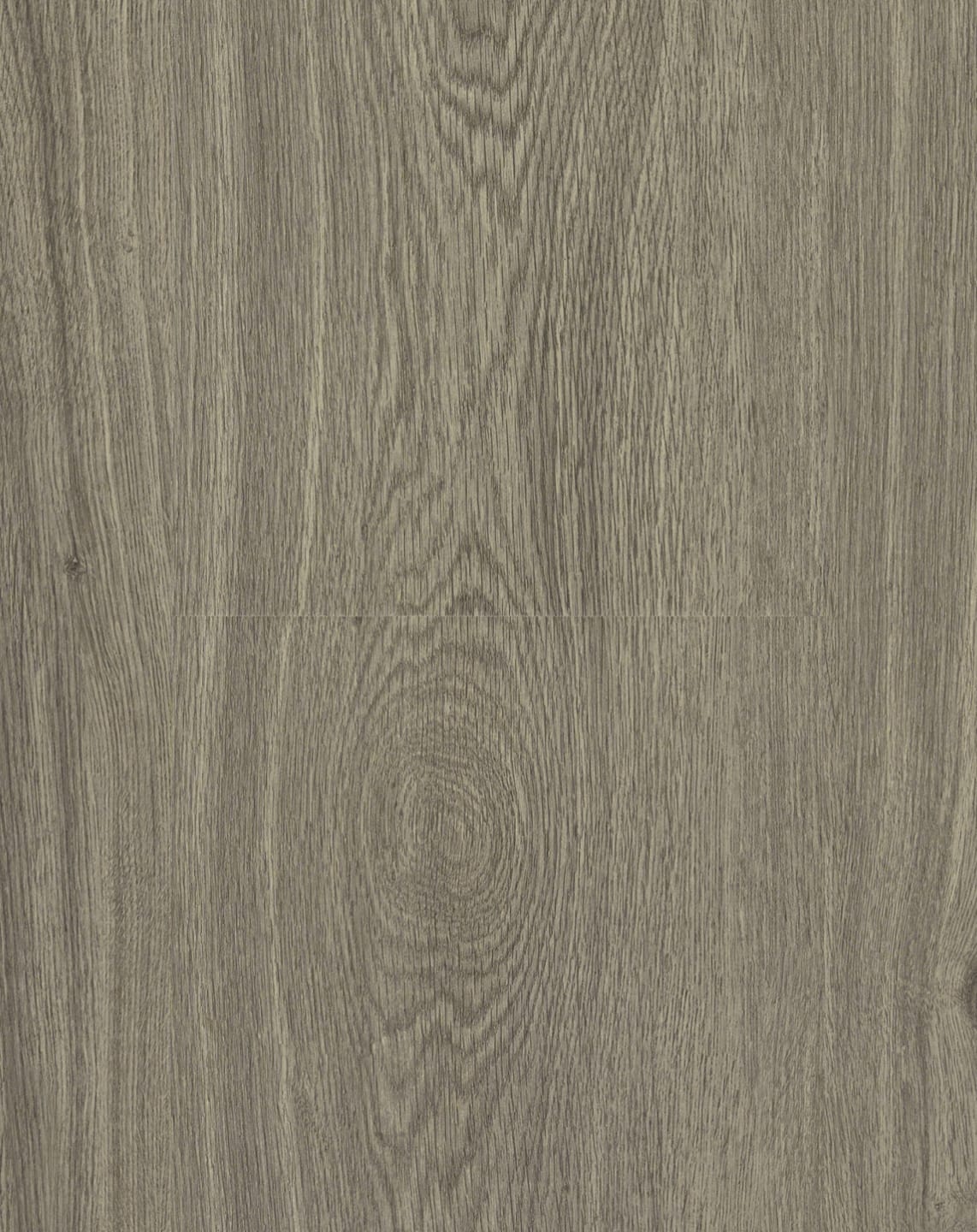 Shadow Oak