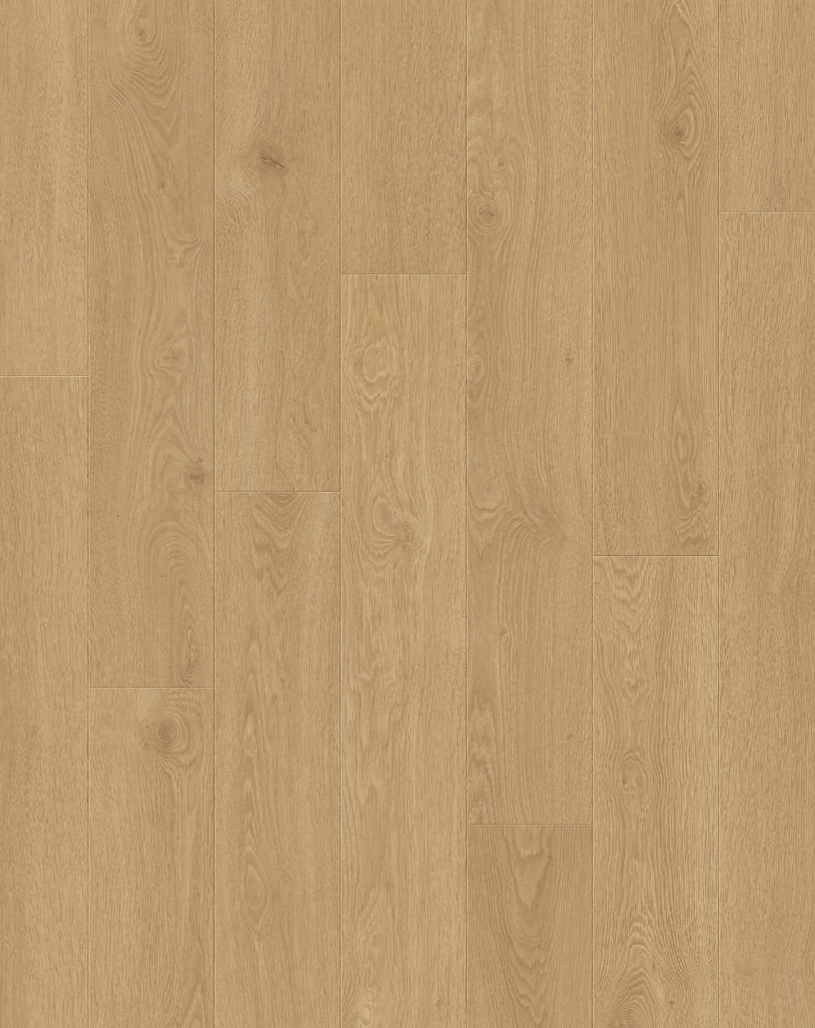 Blush Oak