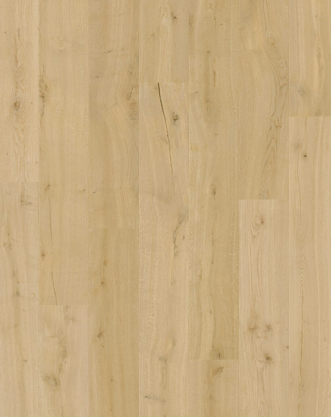 Cotton Oak
