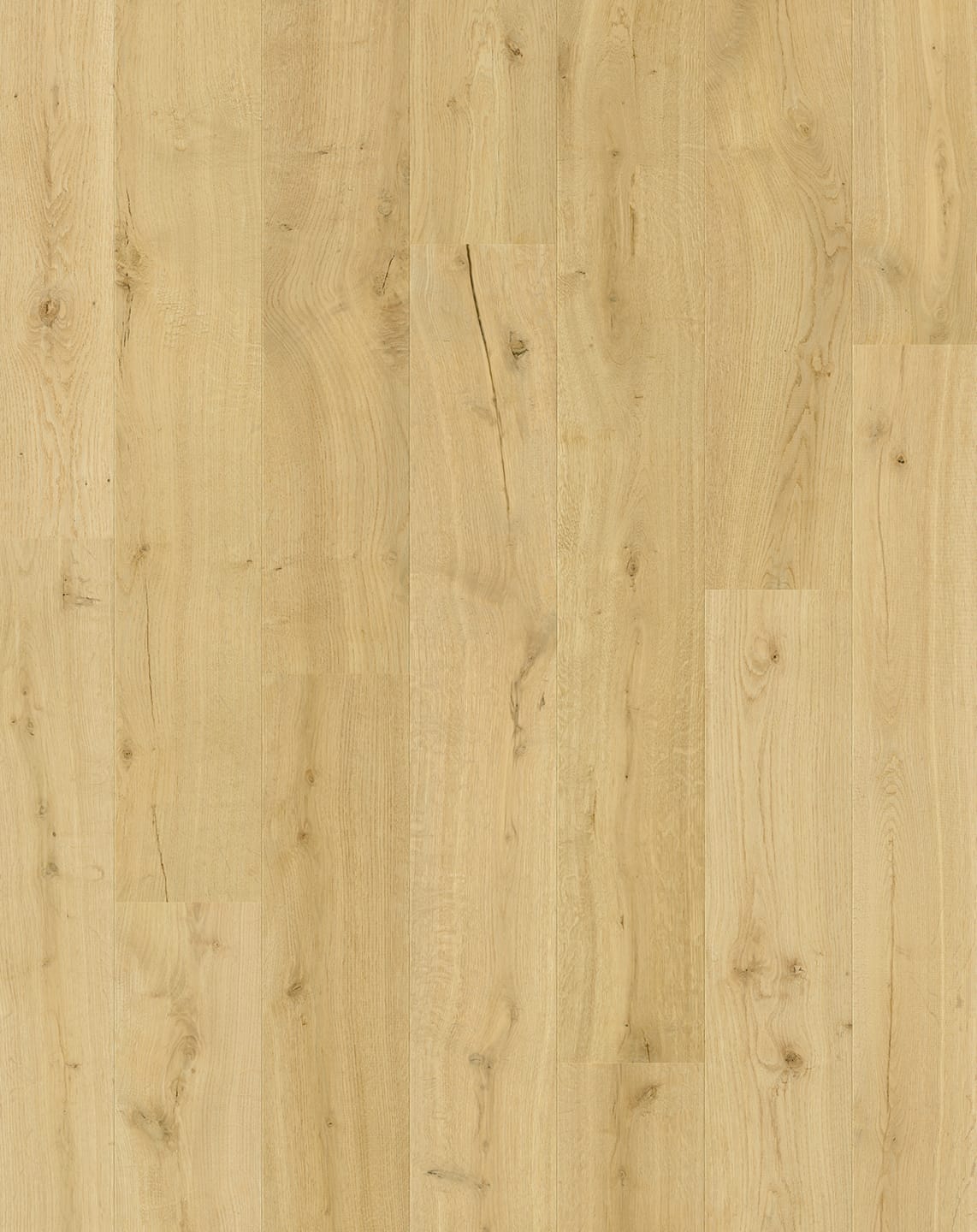 Almond Oak