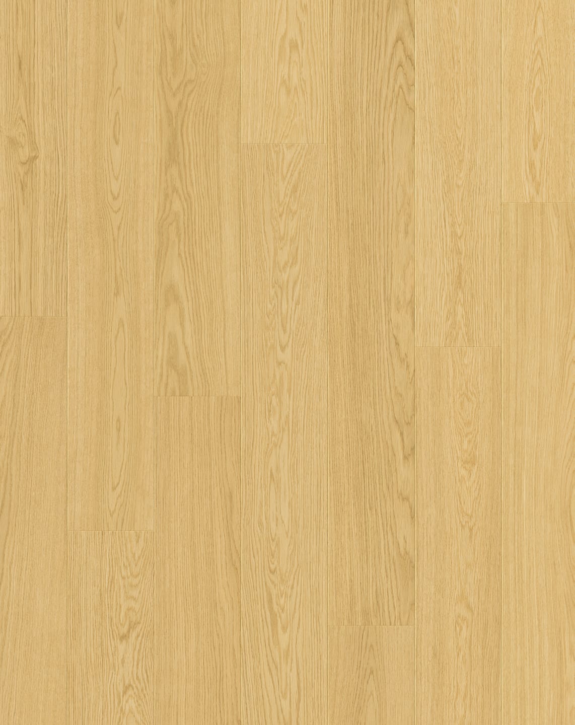 Dune Oak