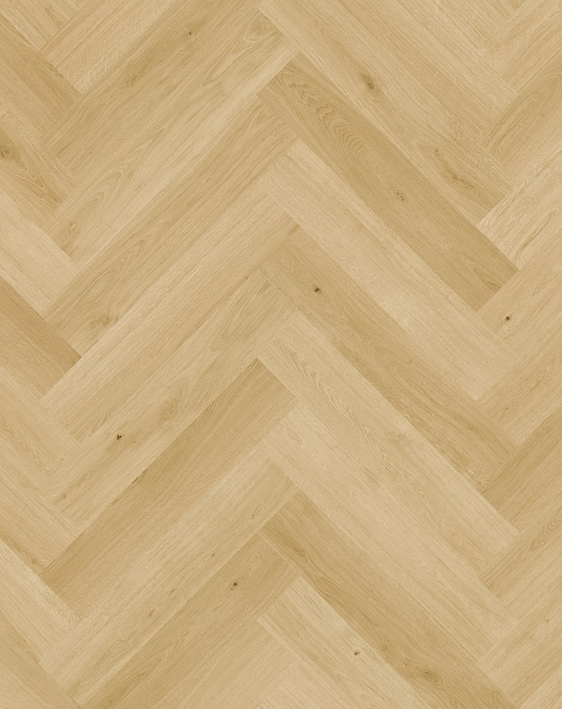 Cardamom Oak