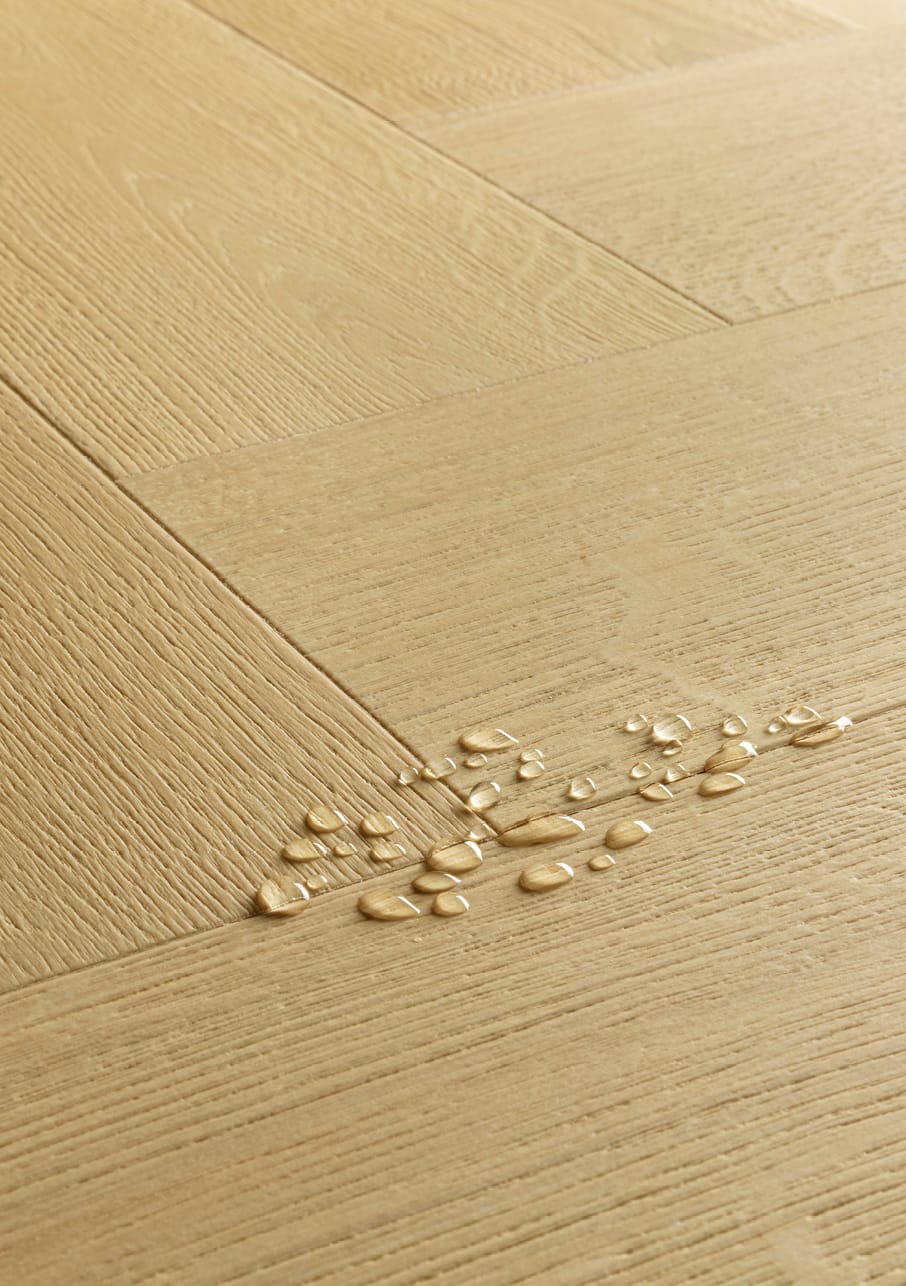 Nutmeg Oak