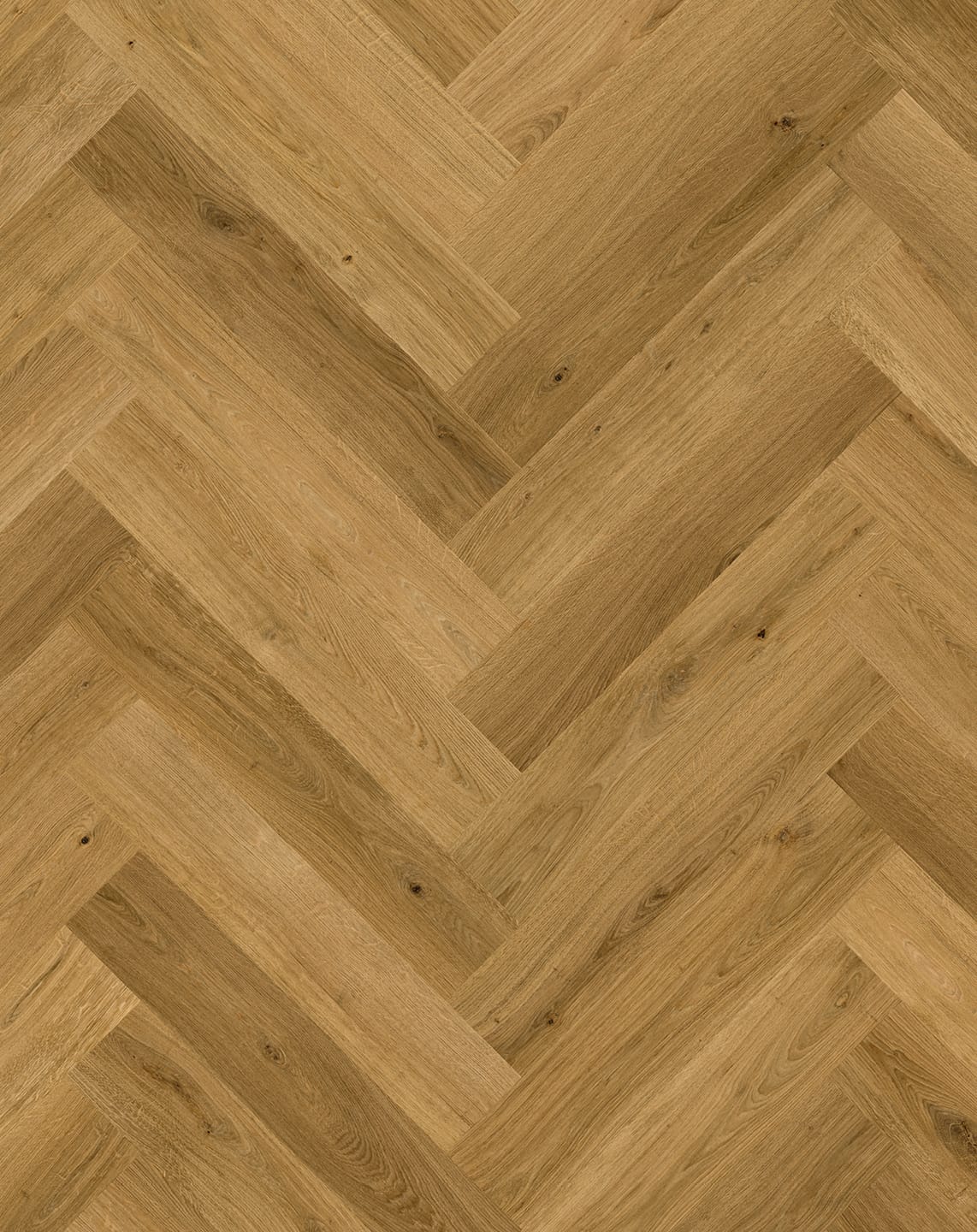 Cinnamon Oak
