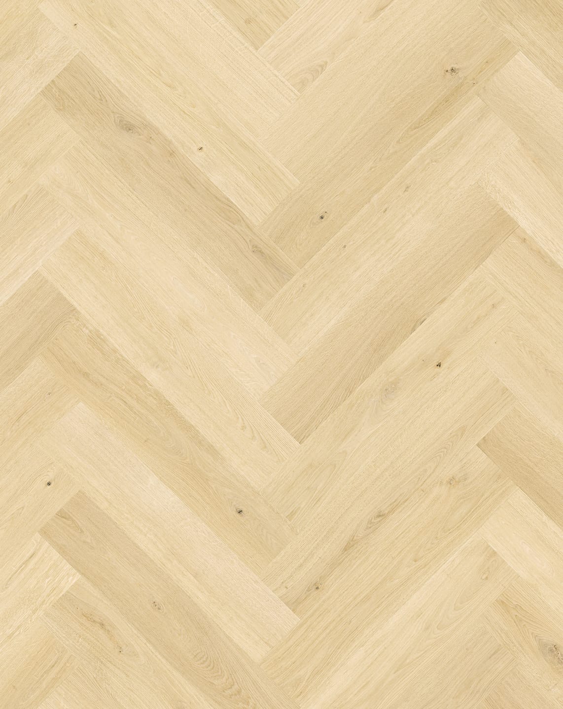 Ginger Oak