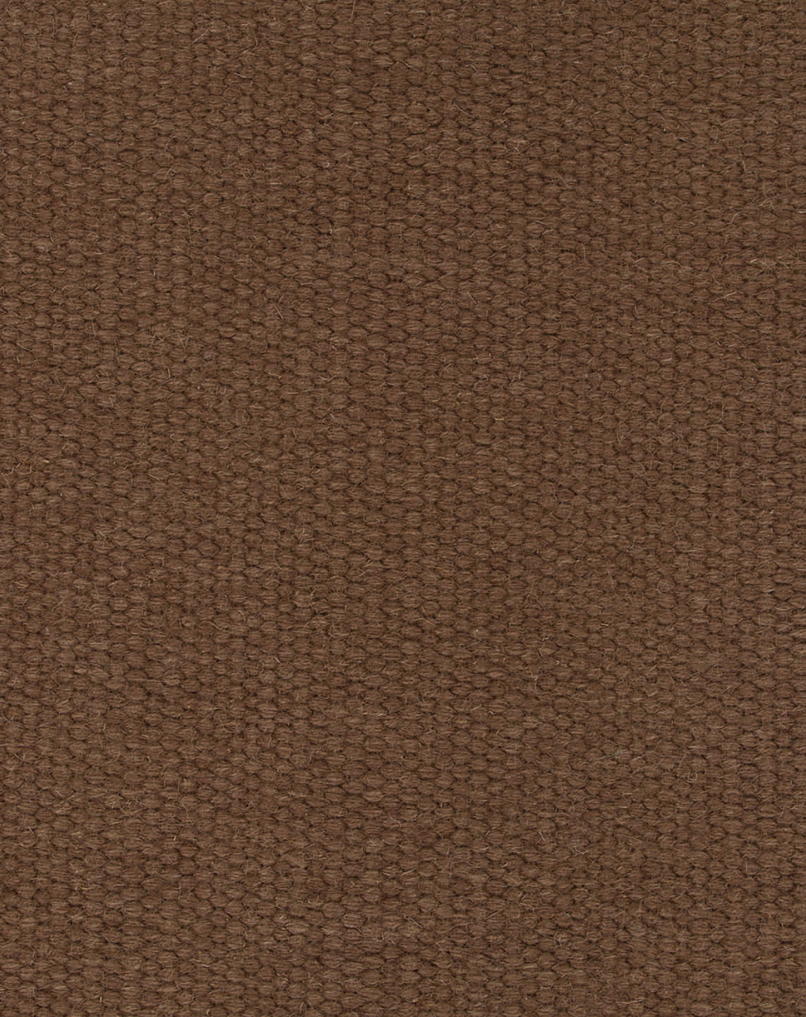Cocoa