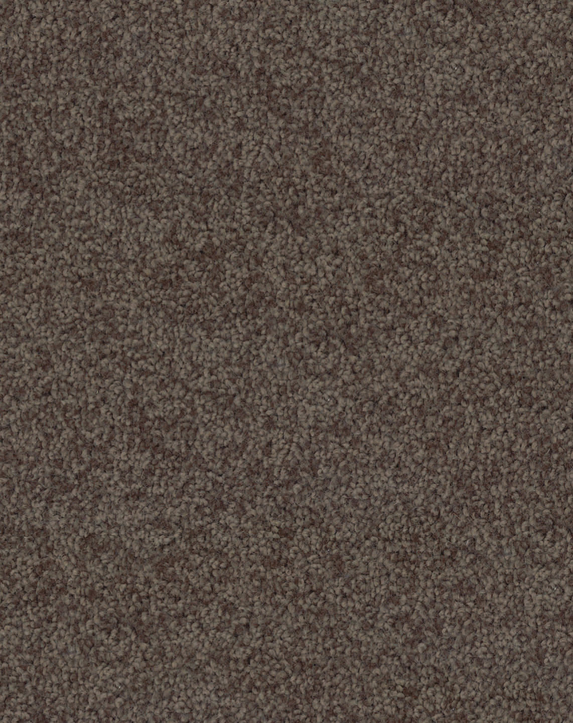 Alluvial 593
