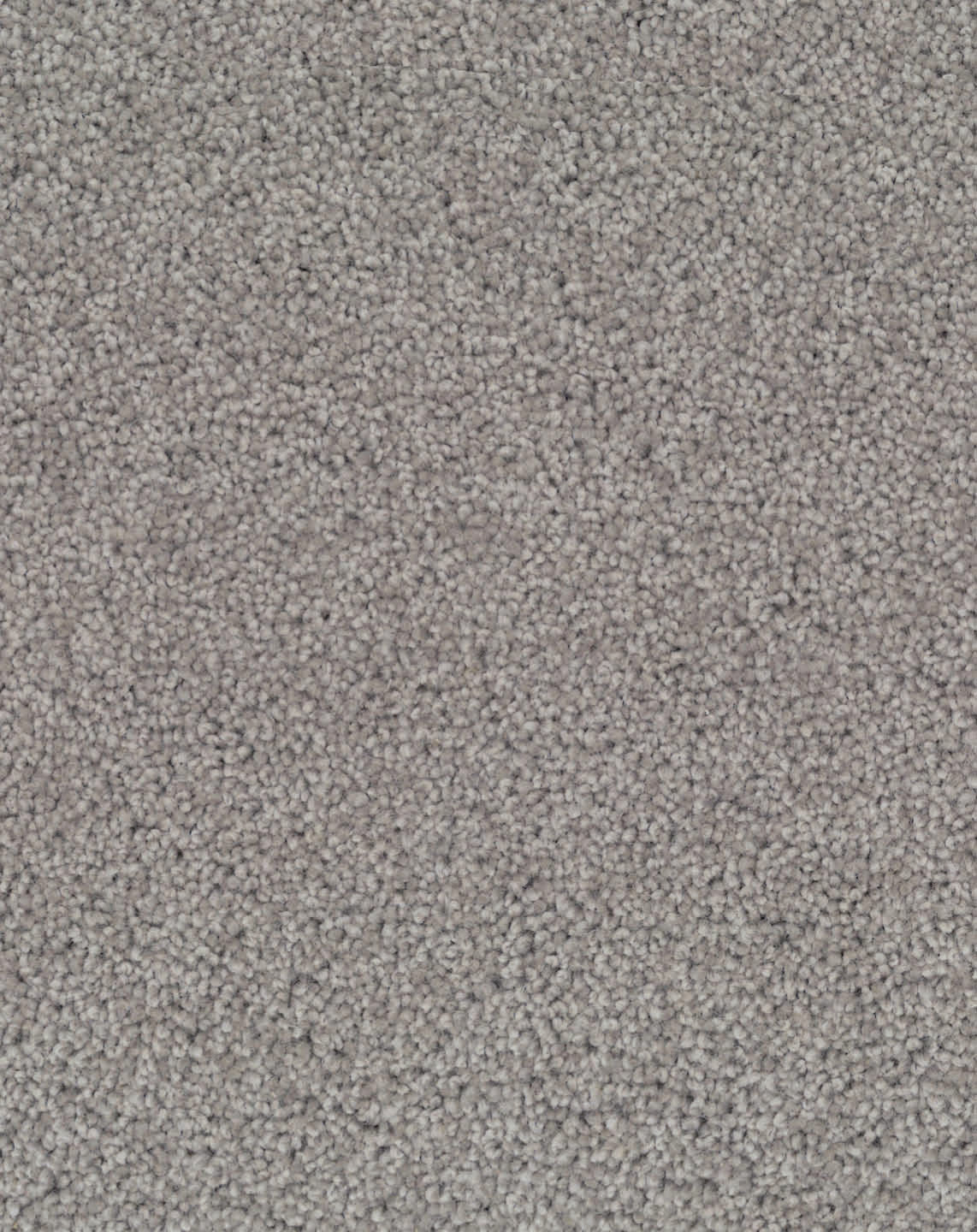 Blue Fescue 733