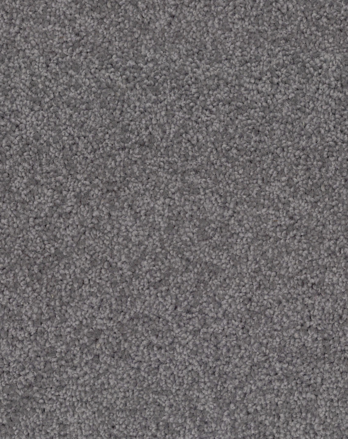 Pipit Fescue 758
