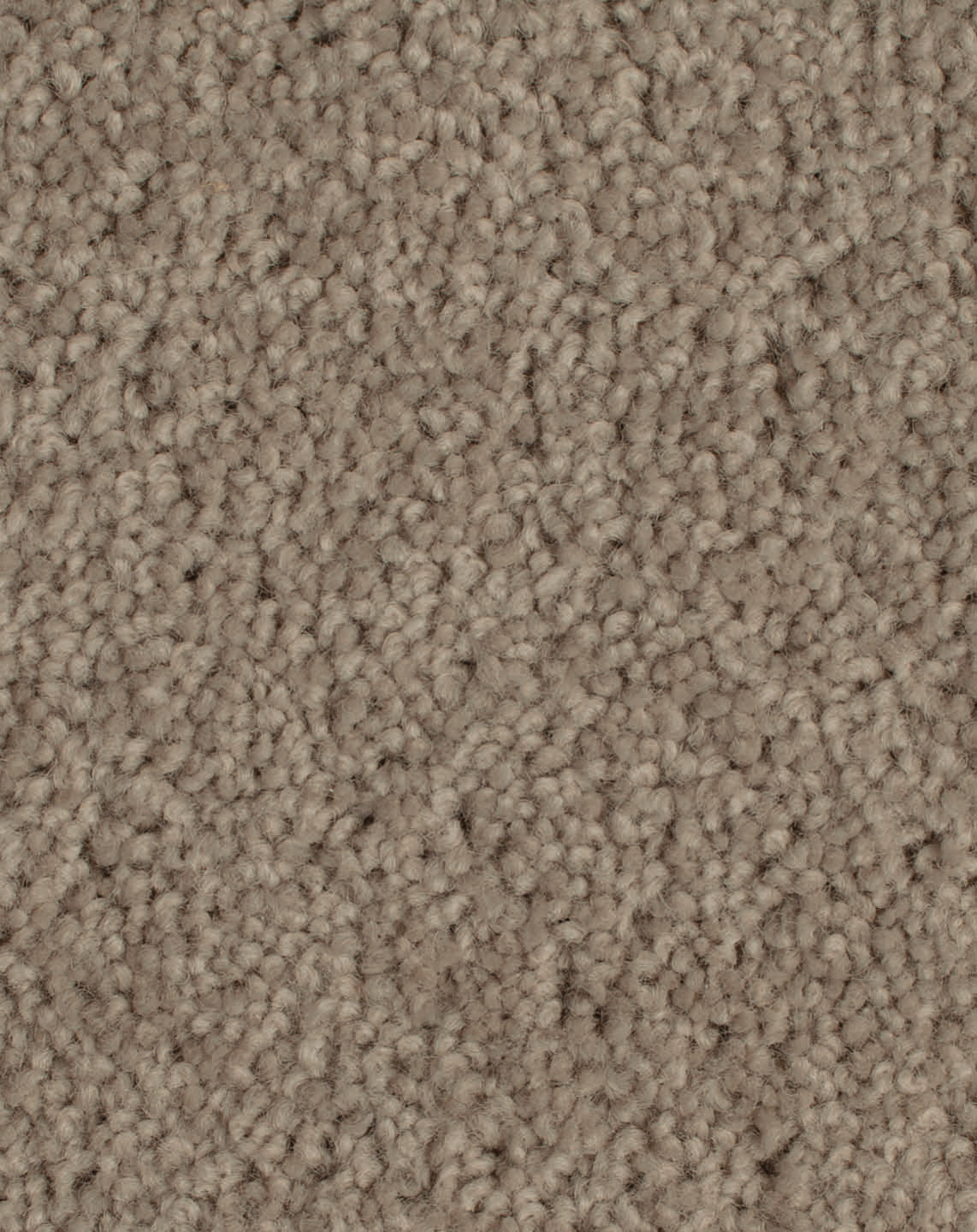 Greywackle 905