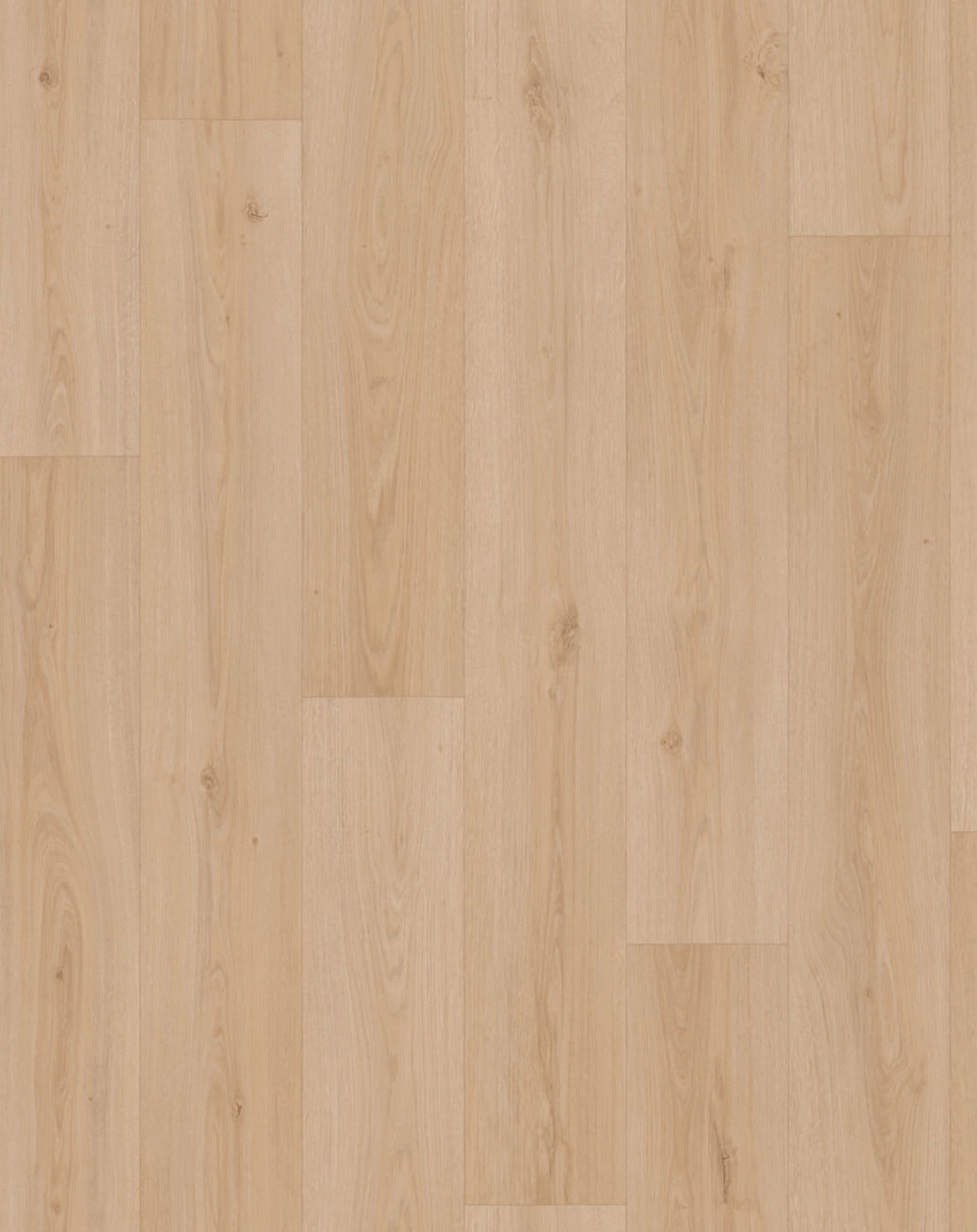 Powell Oak Sand