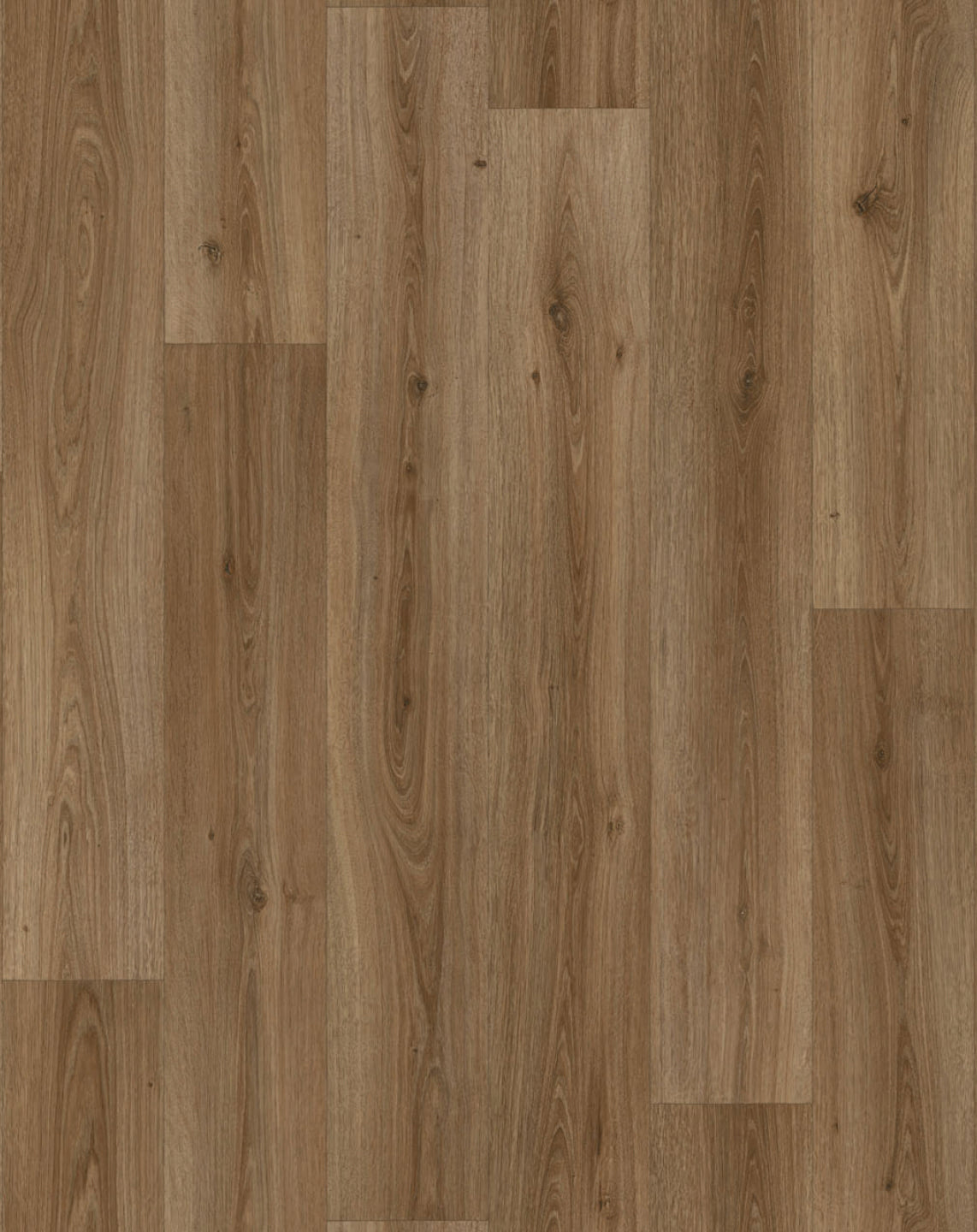 Powell Oak Chestnut