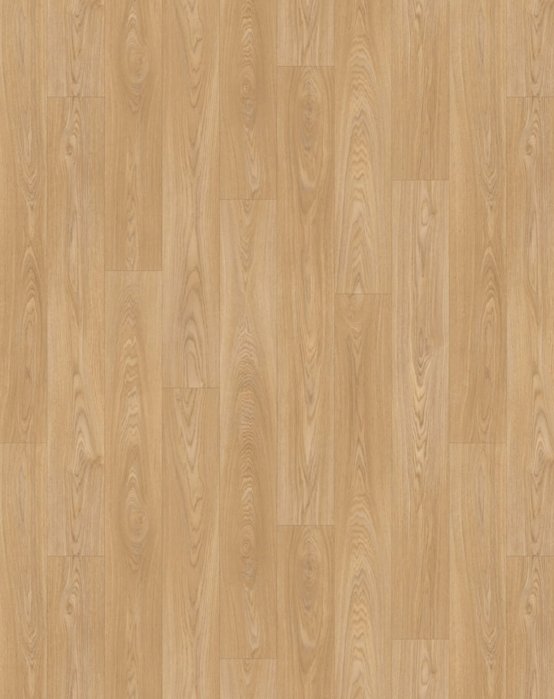 Urban Oak Fallow