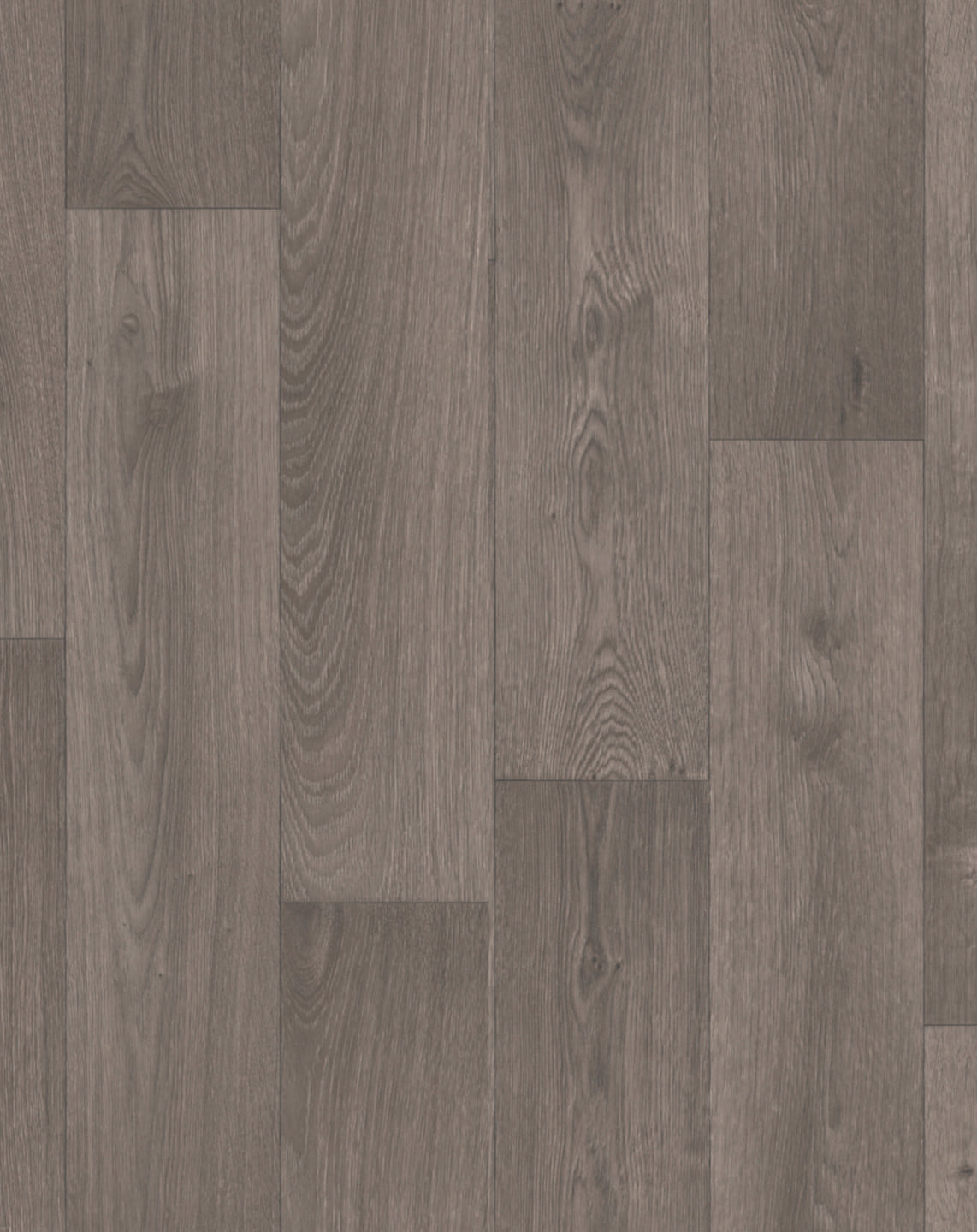 Swan Dark Grey