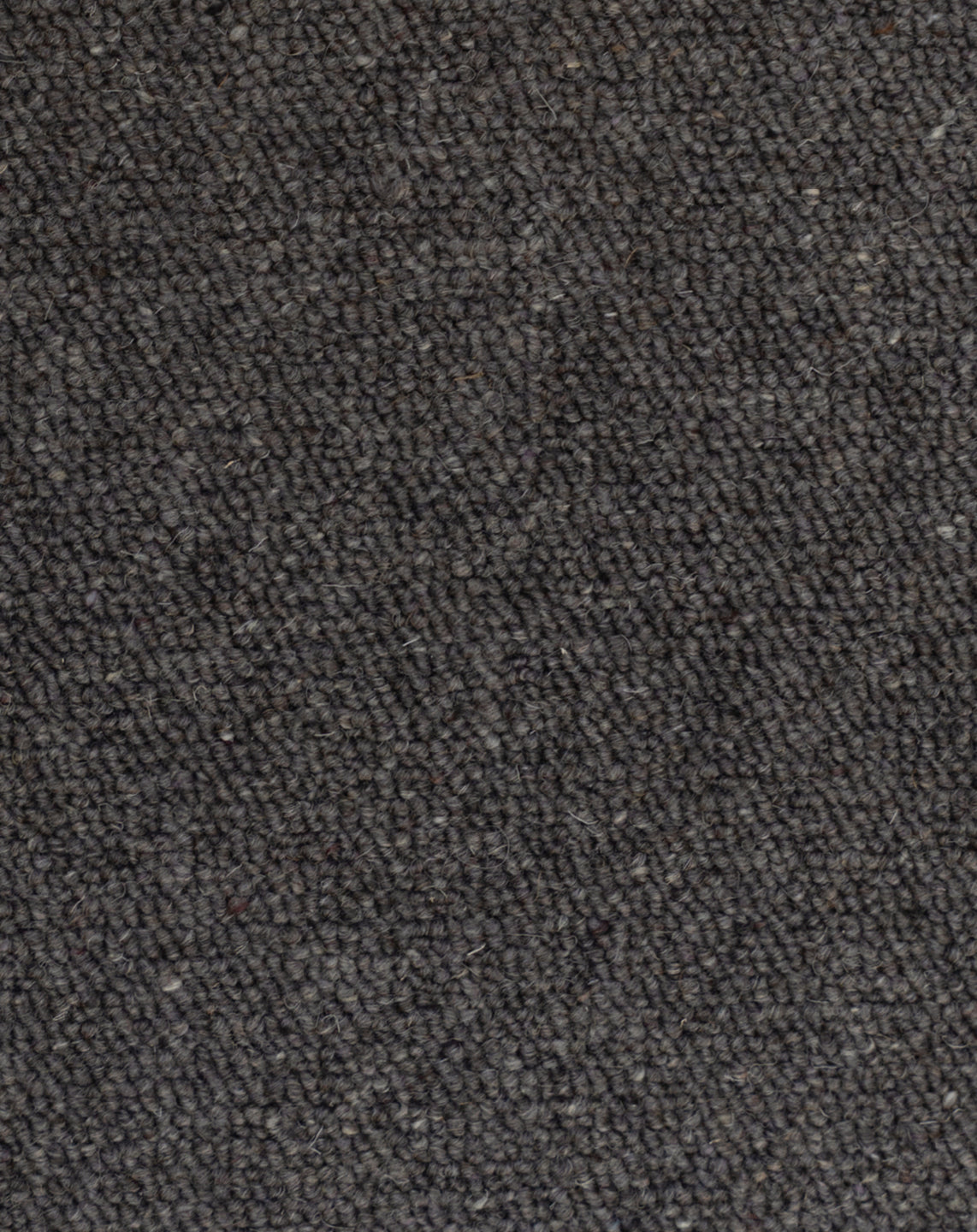 Loop Floring Wairakei | Wool Loop Pile Carpet | Flooring Xtra NZ