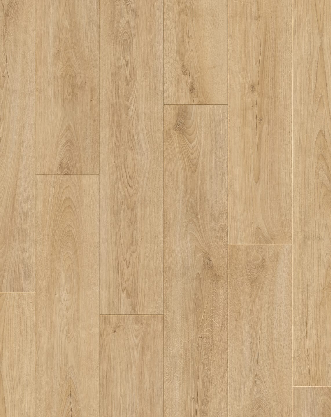 Kalahari Oak