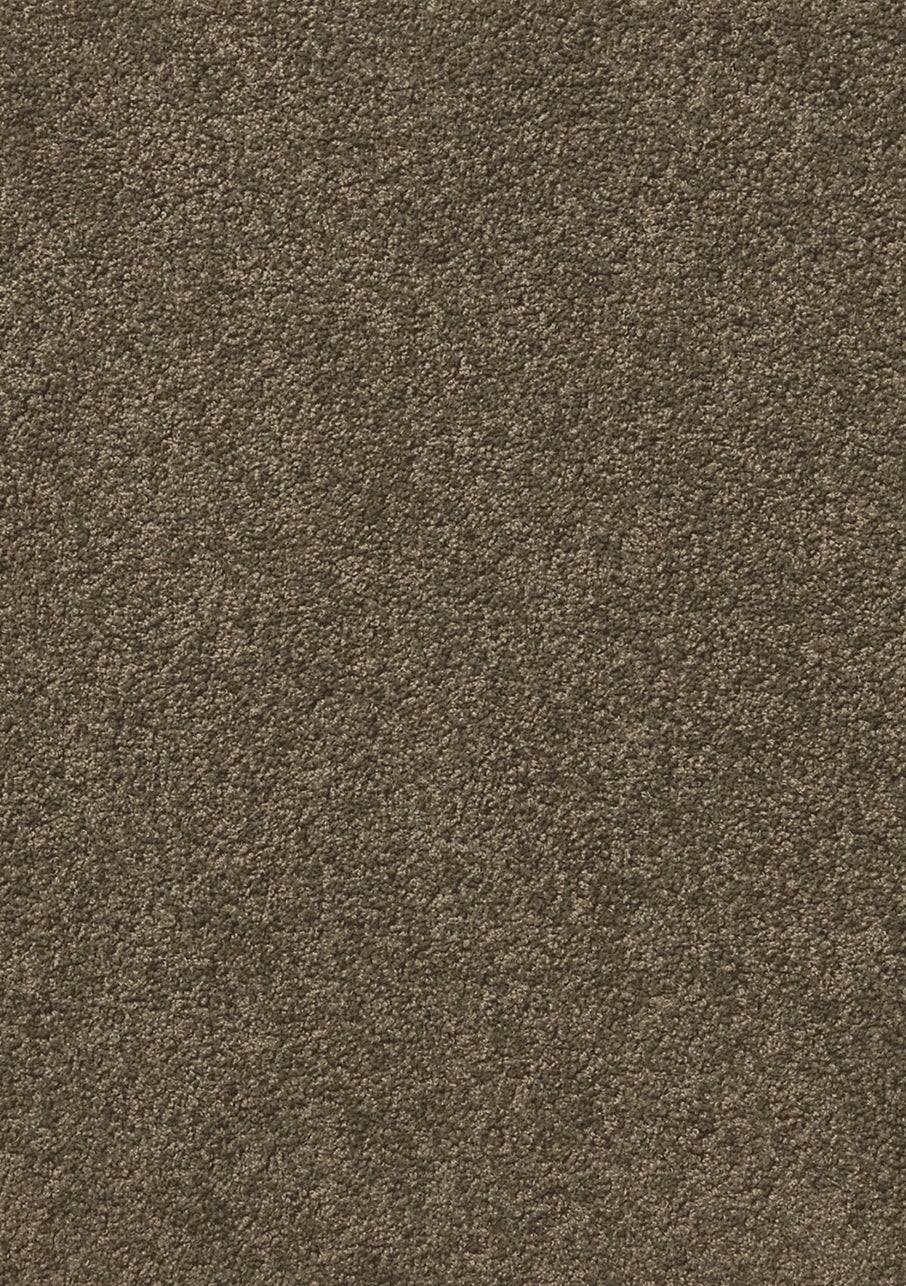 Carpet Cut Pile Empire Clay Flooring Xtra