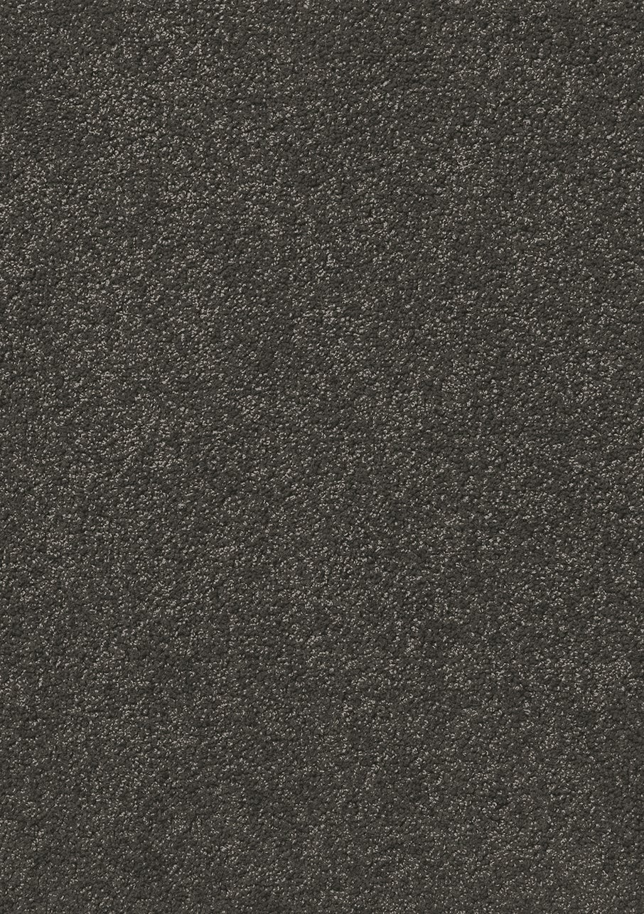 Carpet Cut Pile Empire Titanium Flooring Xtra