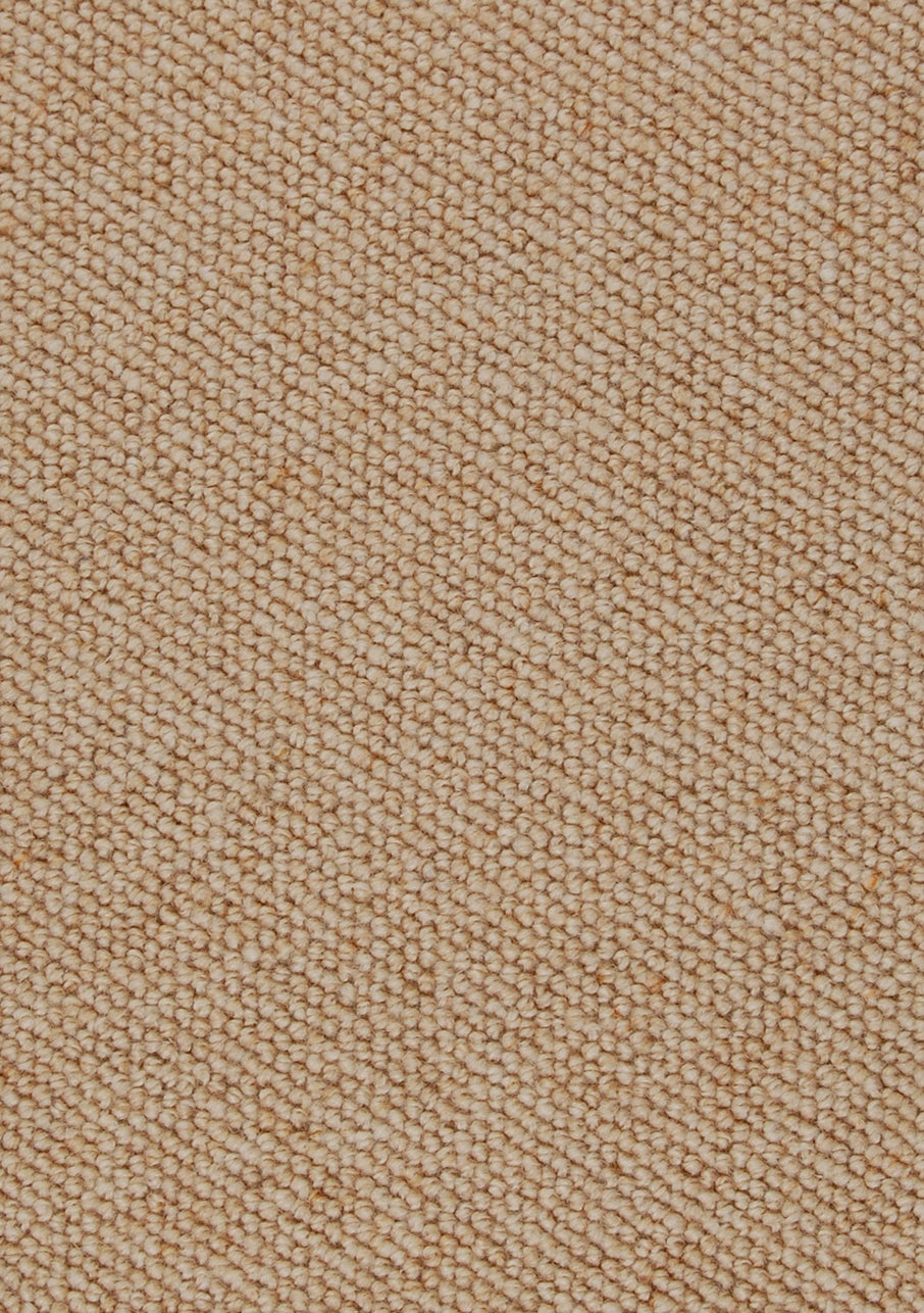 Carpet Loop Pile Textured Levante Sunwash Flooring Xtra