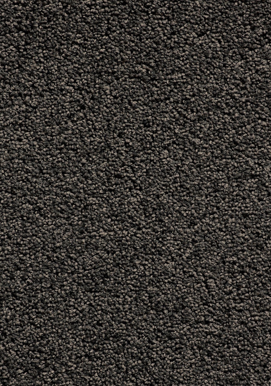Carpet Cut Pile Miro Ed Pepper Flooring Xtra